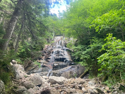 Cascading waterfall flowing through rocky terrain surrounded by dense green forest and towering trees