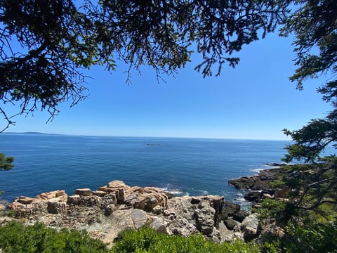 Scenic coastal view with rocky shoreline, blue sea, and evergreen trees framing the landscape under clear sky